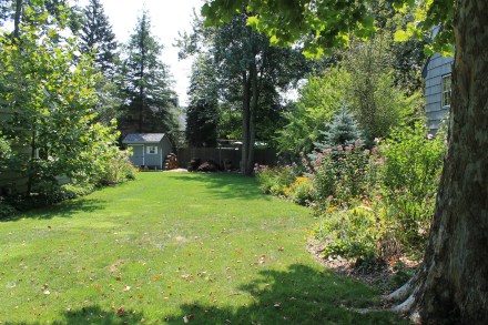 The west side of the yard, looking from the street to the back corner, where my pile makes its home.