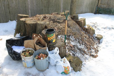 My pile is made of many things, like all these ingredients stockpiled through a winter storm and about to be added to the mix.