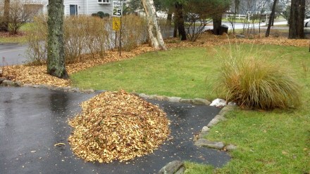 Just a few wheelbarrows left to spread among my garden beds.