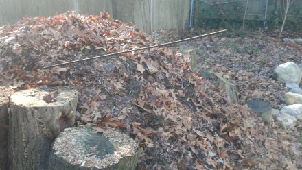 An old length of rebar makes a good aerator for my pile.