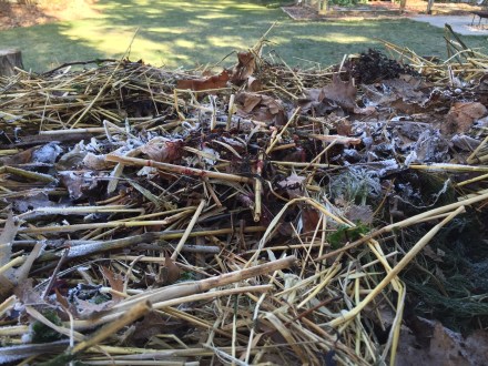 My pile has proven itself big enough to "take the wraps" off. Even on a frigid morning, steam vapors rise from deep within to freeze as hoar frost on the surface. A much more interesting sight than a plastic tarp!