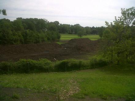 A view of one of the last tracts of open land left in Westport, on which the owners have spread leaf mulch to compost.