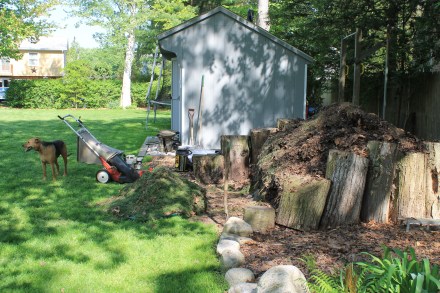 The fresh grass clippings and other recyclables will soon be mixed deep within my pile.