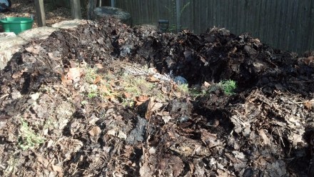 The weeds, already loaded with seedheads but also heavy with roots loaded with dirt and nutrients, are buried deep in my pile.