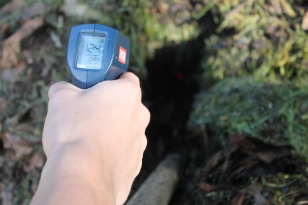 My pile is chugging along quite nicely. Here I've clocked it at a toasty 124 degrees.