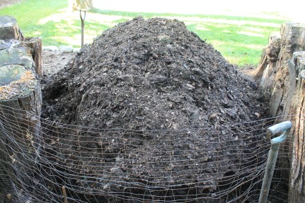 My pile, nearly mature, after a thorough turning in mid August.