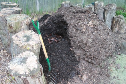 The inner core of my pile yields a clutch of raw leaves, undisturbed since last fall.