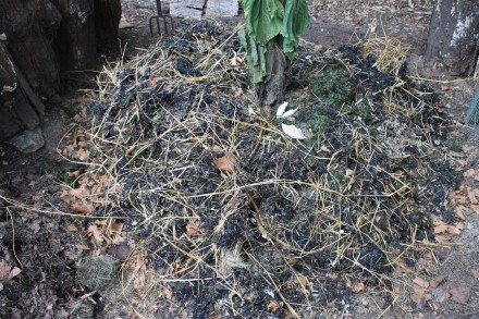 My pile's 'sea floor' -- a rich, briny mix of seaweed and seagrass, infused with sea shells, crab claws and cast-off feathers of seagulls.