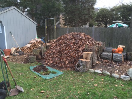 Some of the busyness involved in chopping wood and shoring up my pile. Plus, old pumpkins from the neighbors...
