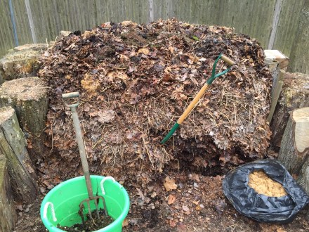 I borrow leaves from the front slope of my pile to build up the top and create a nearly vertical wall made of dried, compressed leaves.