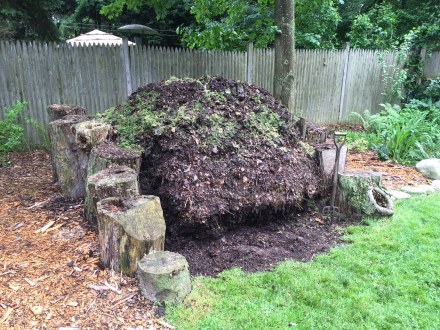 My pile, packed high with the latest stuffing of compostibles.