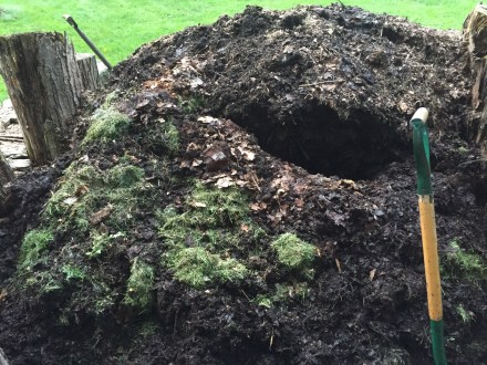 Burrowing into the bottom of my pile to turn out the old and bury the new.