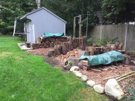 Though a scene of some industry, there are plenty of perches to take a pause on between backyard chores.