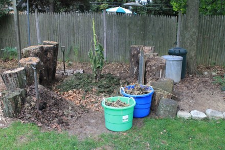 My pile typically begins each fall with a "sea floor" of seaweed, shells and crab carapaces culled from the strandline of the nearby beach.